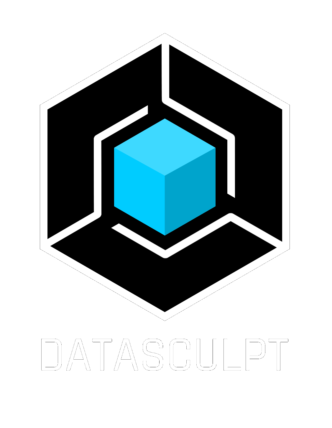 Datasculpt Cloud Login